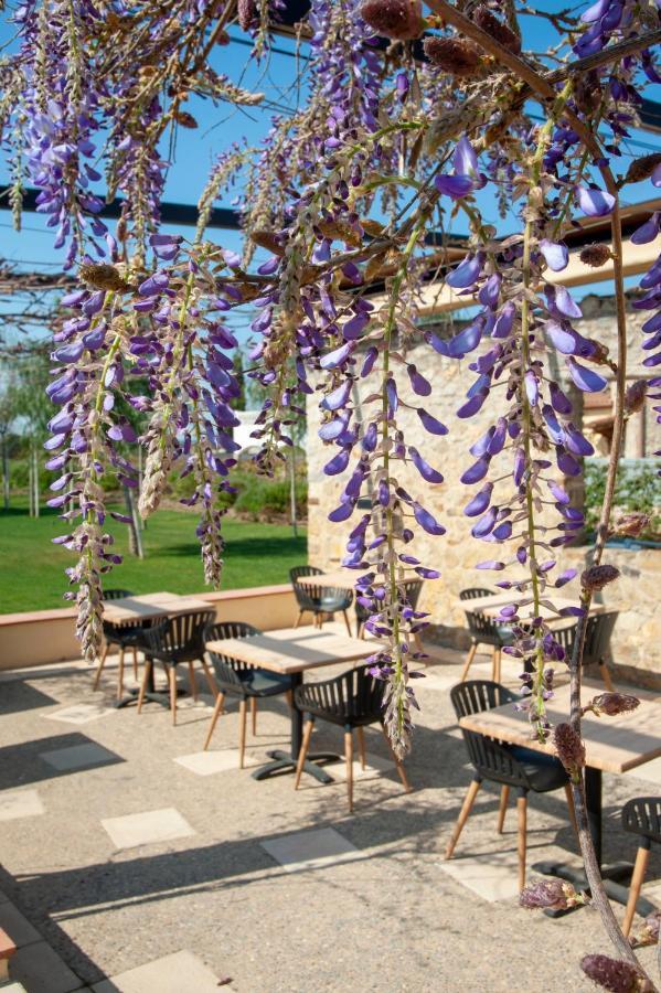 Hotel Aires De L'Emporda Vilacolum Kültér fotó